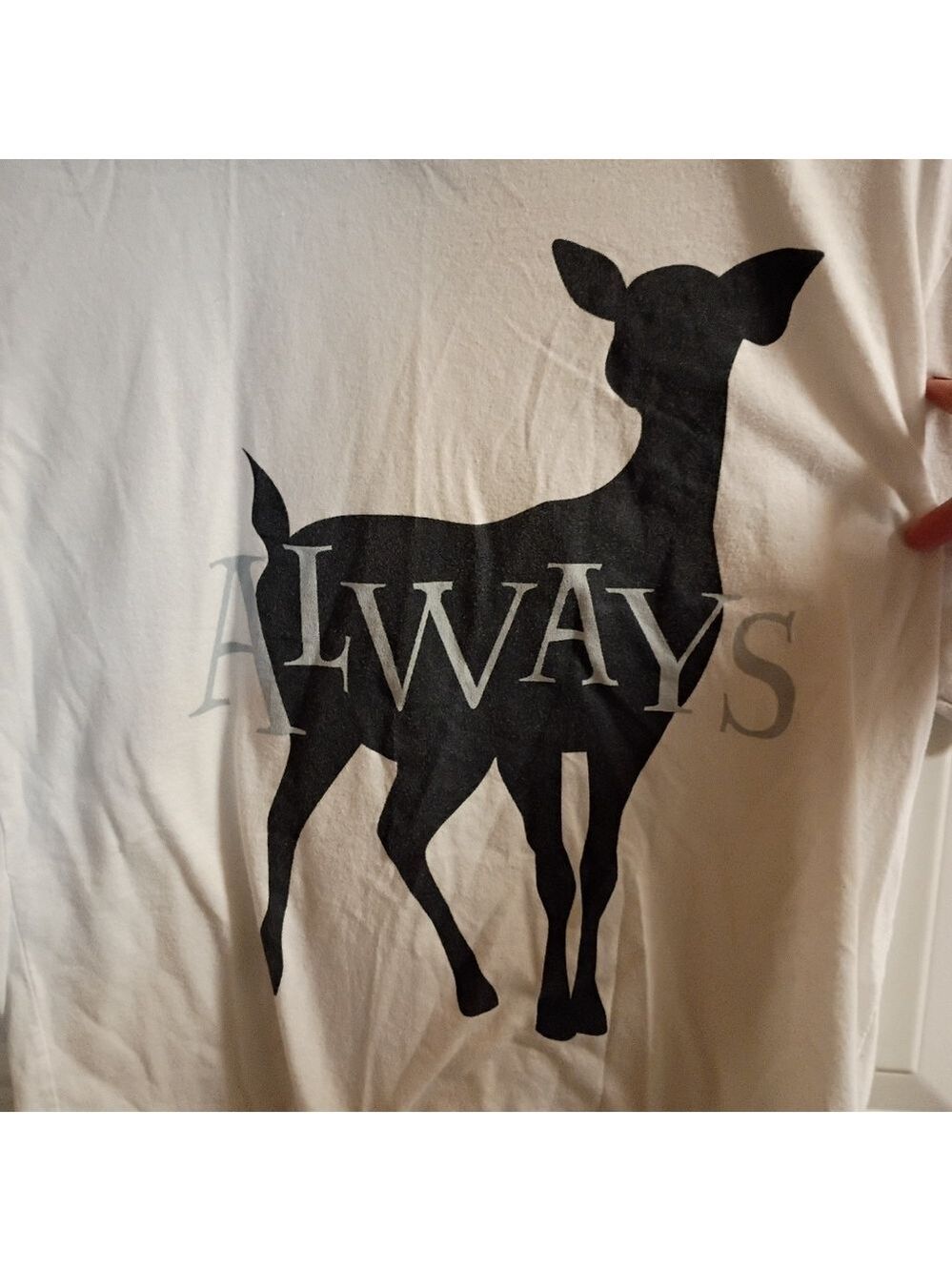2/$10 Harry Potter Box Lunch Expecto Patronum Always Graphic Tee Size Small - Picture 2 of 6